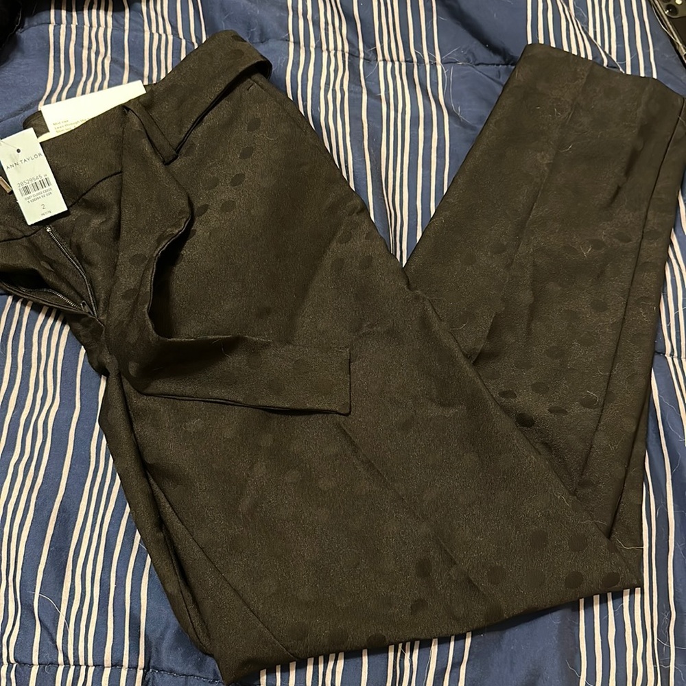 Ann Taylor Pants